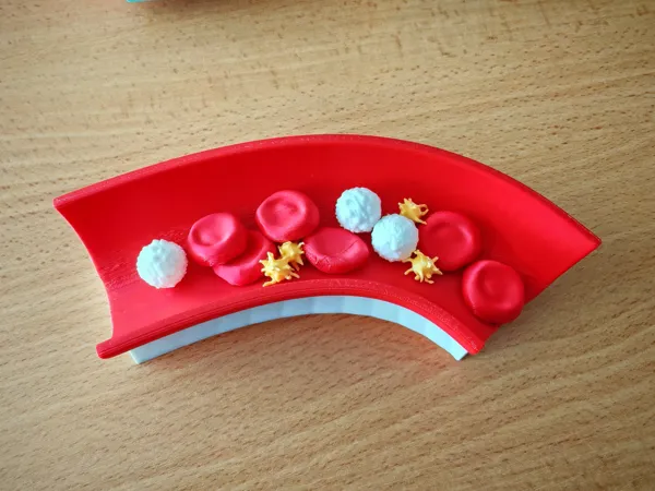 https://makerworld.bblmw.com/makerworld/model/US1e0071207918c3/design/2025-06-06_80174921d5e1e.jpg