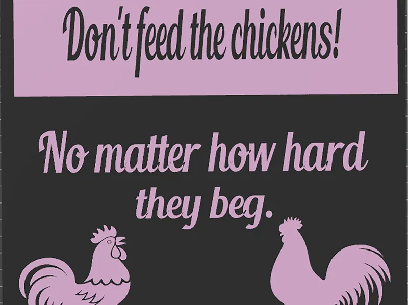Don't Feed the Chickens
