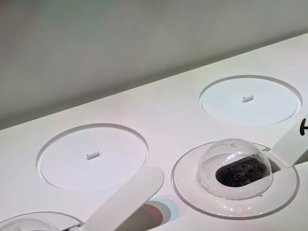 https://makerworld.bblmw.com/makerworld/model/US1e01813113ae39/design/2025-10-22_e4305f796b257.jpg