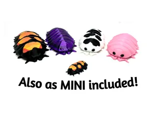 Articulated Isopod - Porcellio laevis, also MINI!