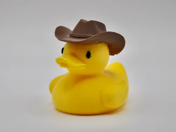 https://makerworld.bblmw.com/makerworld/model/US1e0cf5482118e3/design/2025-02-12_43418d486202c.jpg