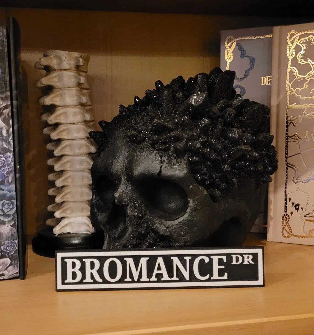 Bookshelf Sign - Bromance (Multi. Options) by TheForbiddenNerd ...
