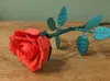 Rose A1 Mini Print Profile 