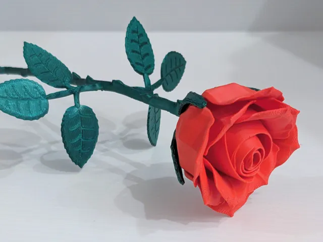 Large Realistic Roses