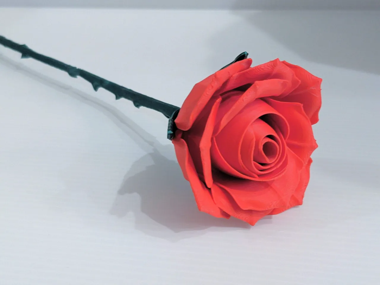 Large Realistic Roses view 2
