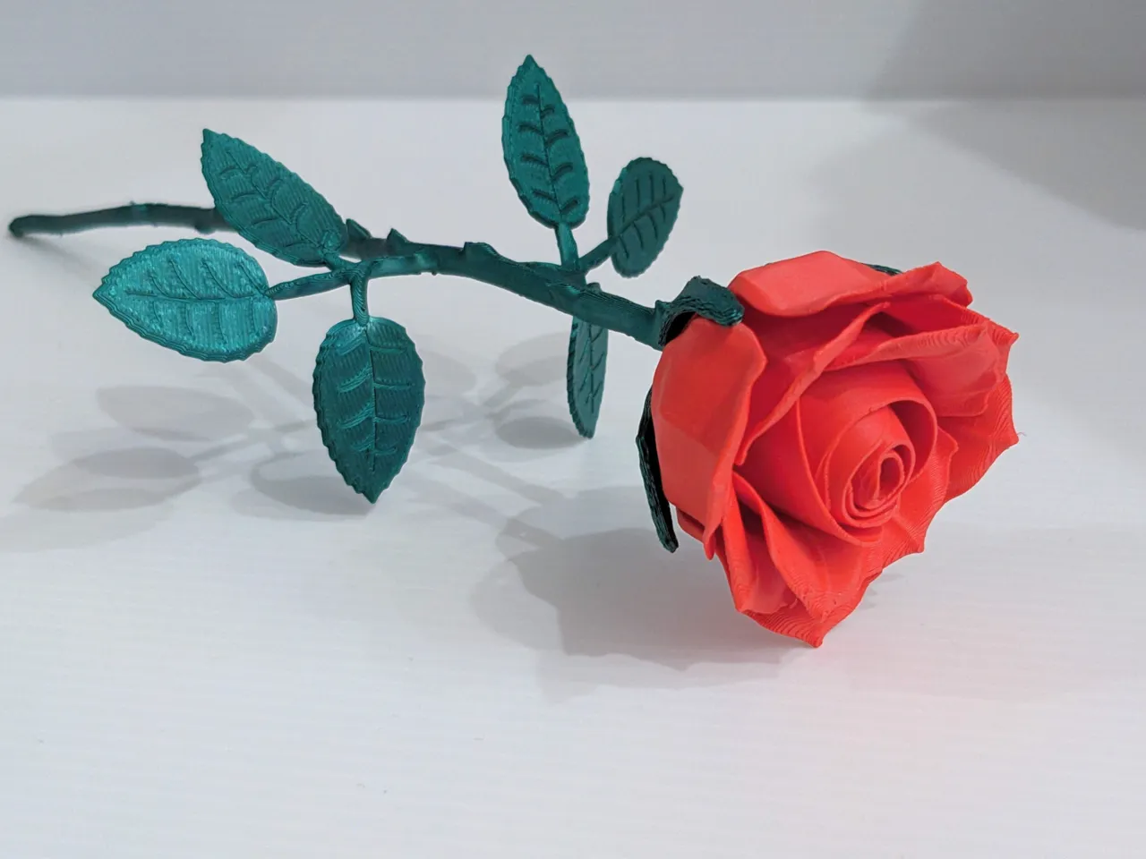 Large Realistic Roses view 3