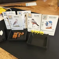 Player Box with card holding slots