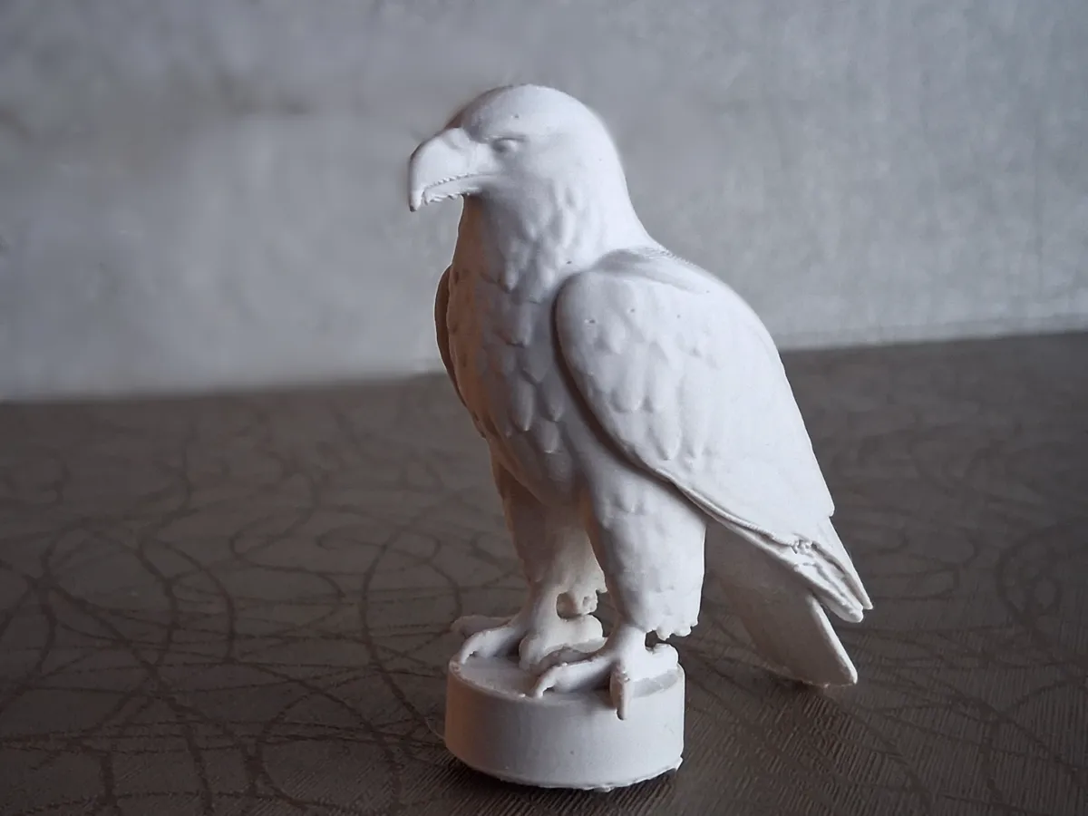 Aigle à tête blanche