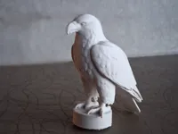 Aigle à tête blanche — photo 1