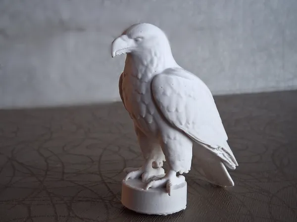 Aigle à tête blanche