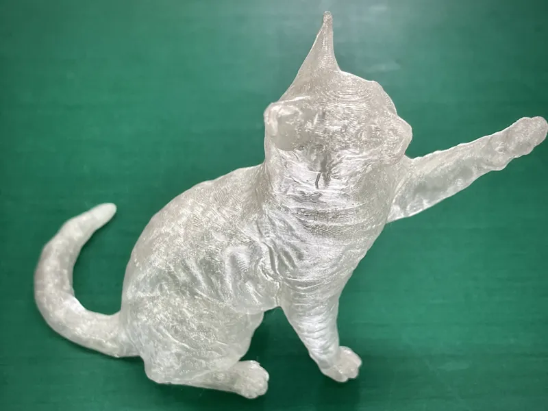 透明な猫