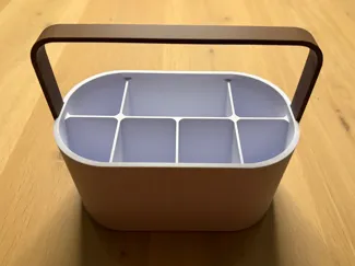 Organizer with handle