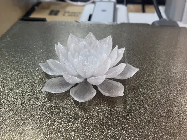 https://makerworld.bblmw.com/makerworld/model/US1e1e5d7ecf5607/design/2025-04-25_130aeed36237.jpg
