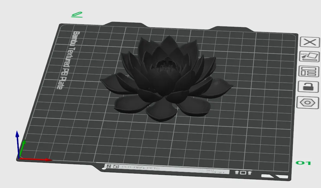 Water lily view 2