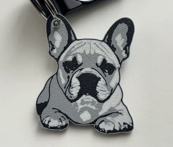 https://makerworld.bblmw.com/makerworld/model/US1e2132ebfe751c/design/2024-11-18_82758be9d82e6.jpg