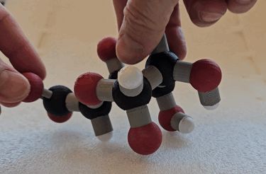 Alginate: a-l-guluronate & b-d-mannuronate