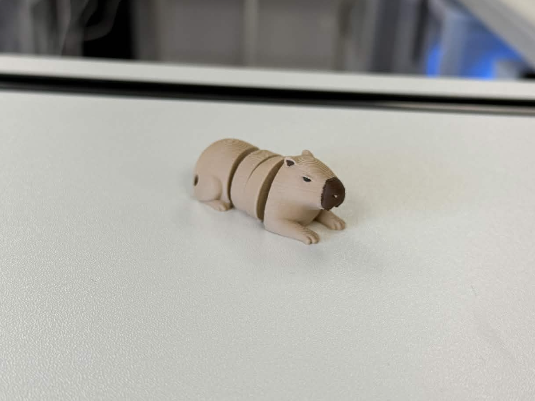 Realistic Capybara (AMS) Colored