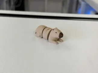 Realistic Capybara (AMS) Colored