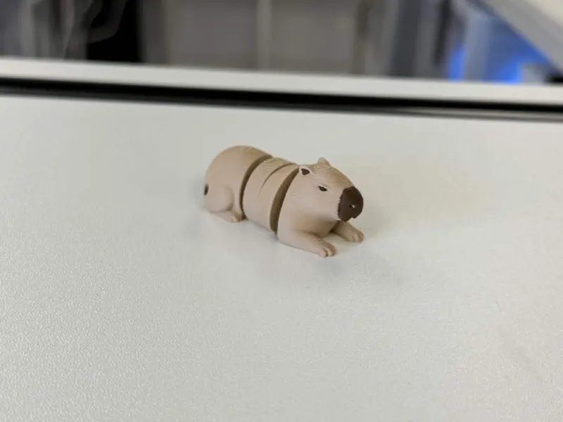 Realistic Capybara (AMS) Colored