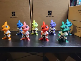 Taekwondo Lizard