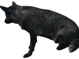 fun model