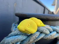 Poisson-blob articulé — photo 4