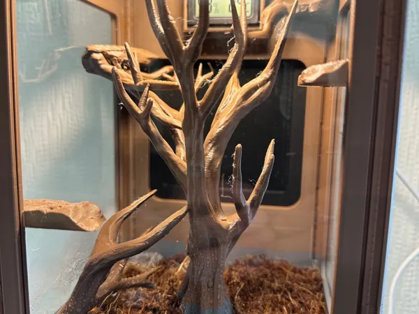 https://makerworld.bblmw.com/makerworld/model/US1e3be68c430c3c/design/2025-09-19_2d1f695a59fe58.jpg