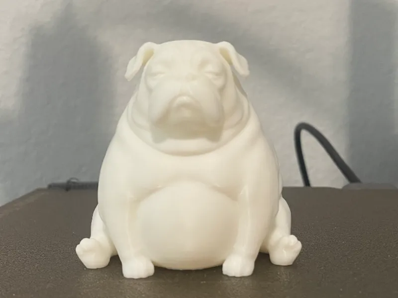 Fat Dog 