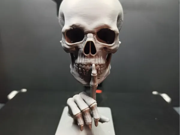 https://makerworld.bblmw.com/makerworld/model/US1e3e522bf52e5b/design/2025-09-15_75e3af6d54262.jpg