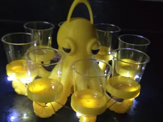 Shot-octopus