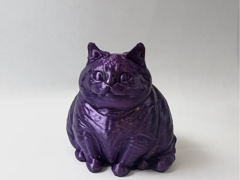 cute fat cat
