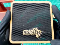 Grill with Badge: 0.16mm layer, 5 walls, 15% infill, Ironing
