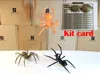 Colored spider 100%.