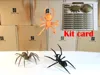 Spider color 150%