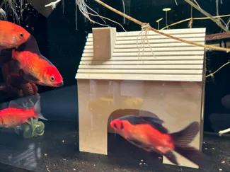 鱼缸摆件房子模型Fish tank decoration house model