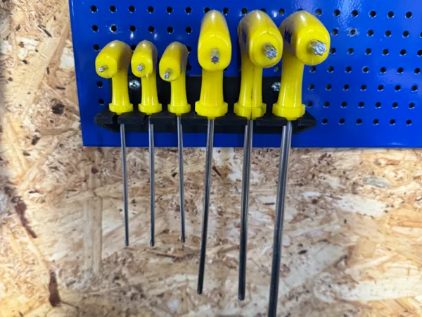 https://makerworld.bblmw.com/makerworld/model/US1e4b21bfbd6535/design/2025-01-15_1ad7b0a2332668.jpeg