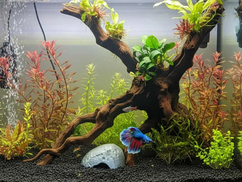 Aquarium rock decor