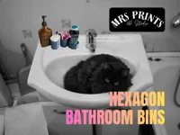 Hexagon Bathroom Bins