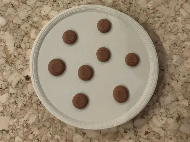 Magnet Cookies