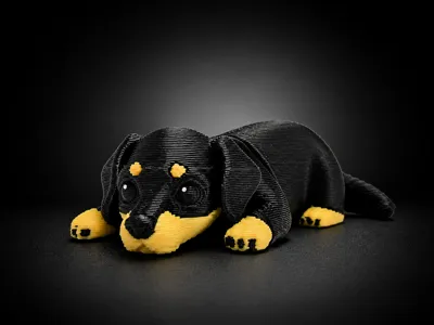 Flexible Dachshund Dog
