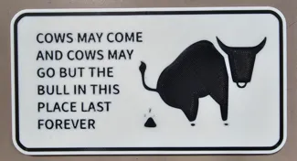 Cows May Come
