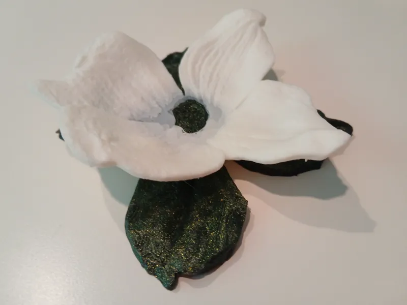Dogwood