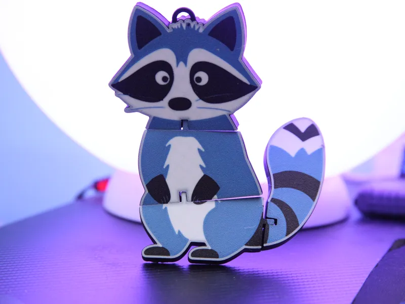 cute flexi racoon