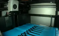 TPU 0.12mm layer, 5 walls, 100% infill