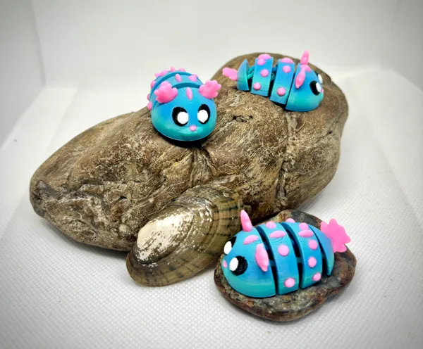 https://makerworld.bblmw.com/makerworld/model/US1e74c978c90b72/design/2024-08-08_3e74ef7dc4933.jpeg