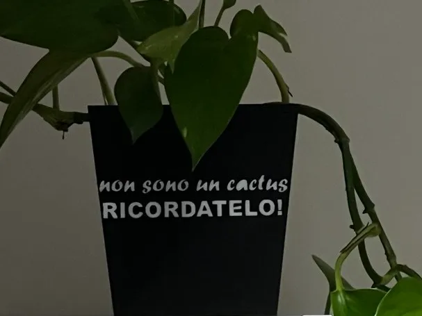 "I'm Not a Cactus - Remember"Multilingual PlantPot