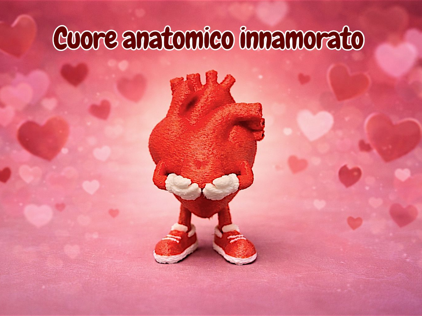 Cuore anatomico innamorato