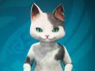 gato