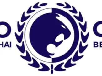 renzo gracie keychain
