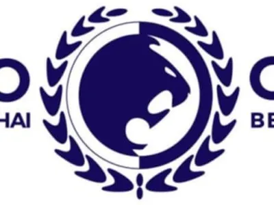 renzo gracie keychain
